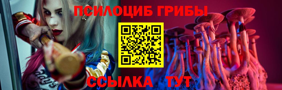 Котлас  Галлюциногенные грибы Cubensis  Вход с VPN 