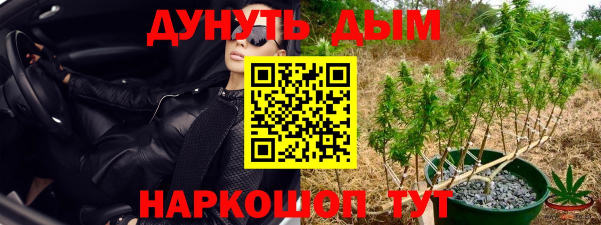 Бошки марихуана марихуана Котлас